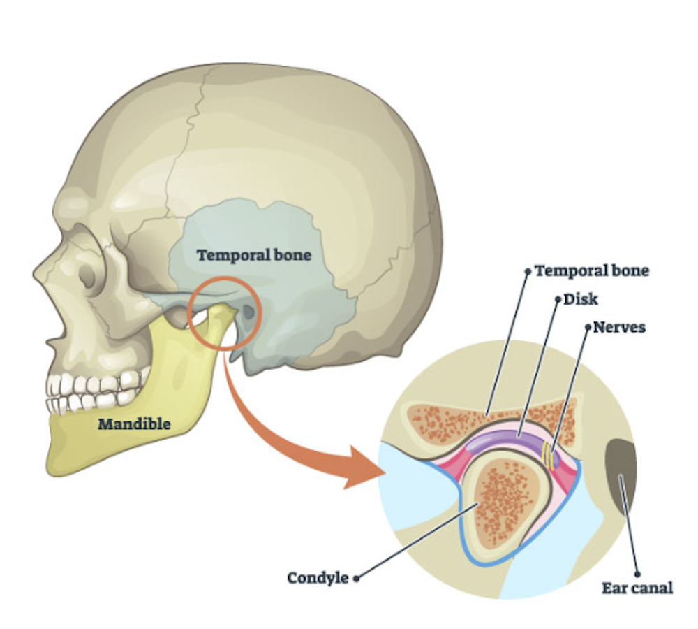 TMJ Pain and Chiropractic Care